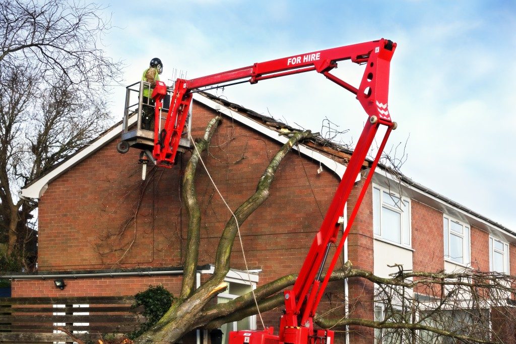 Worker using a cherry picker to remove tree branches