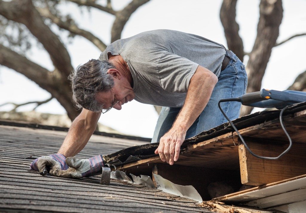 Close up view of man using removing rotten wood from leaky roof